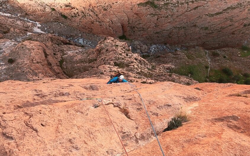 {{brizy_dc_image_alt entityId=