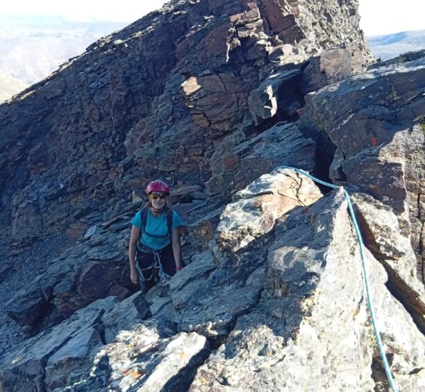 {{brizy_dc_image_alt entityId=