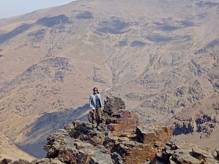 {{brizy_dc_image_alt entityId=