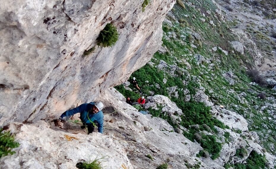 {{brizy_dc_image_alt imageSrc=