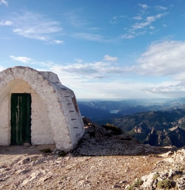 {{brizy_dc_image_alt entityId=