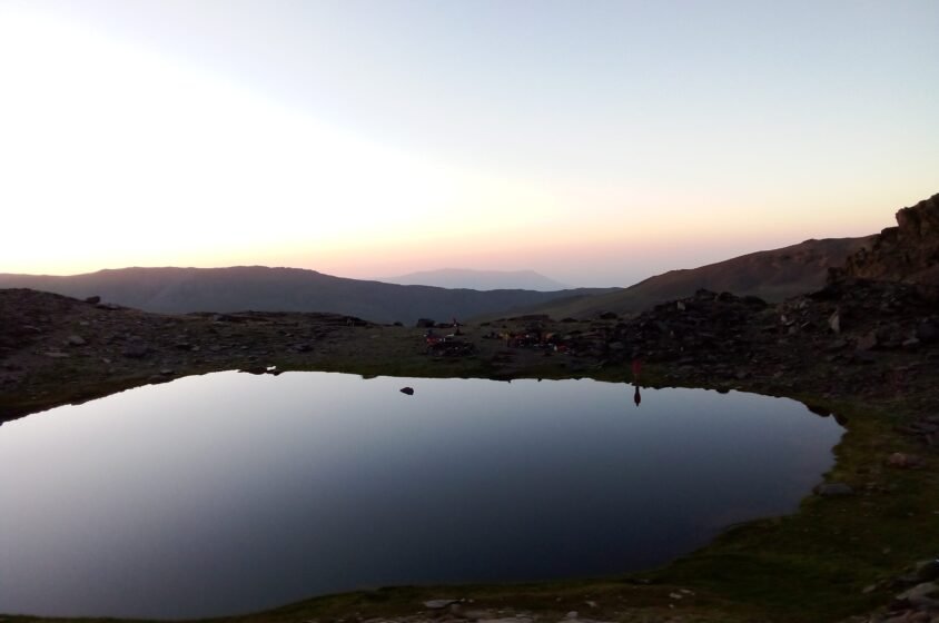 {{brizy_dc_image_alt entityId=