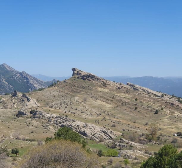 Travesía Campos H. Pelea {{brizy_dc_image_alt entityId=