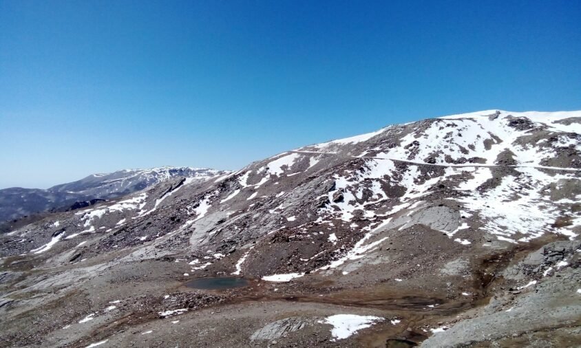 {{brizy_dc_image_alt entityId=