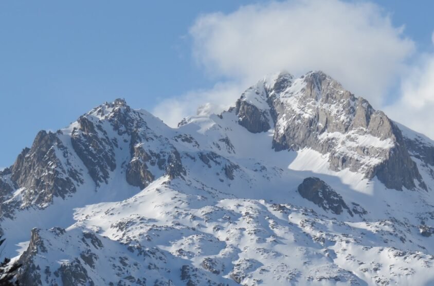 {{brizy_dc_image_alt entityId=